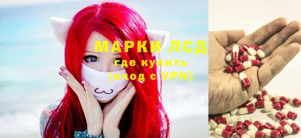 спиды Армянск