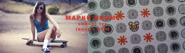 ешки Аркадак