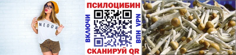 Галлюциногенные грибы Magic Shrooms  Купить где  Кохма 